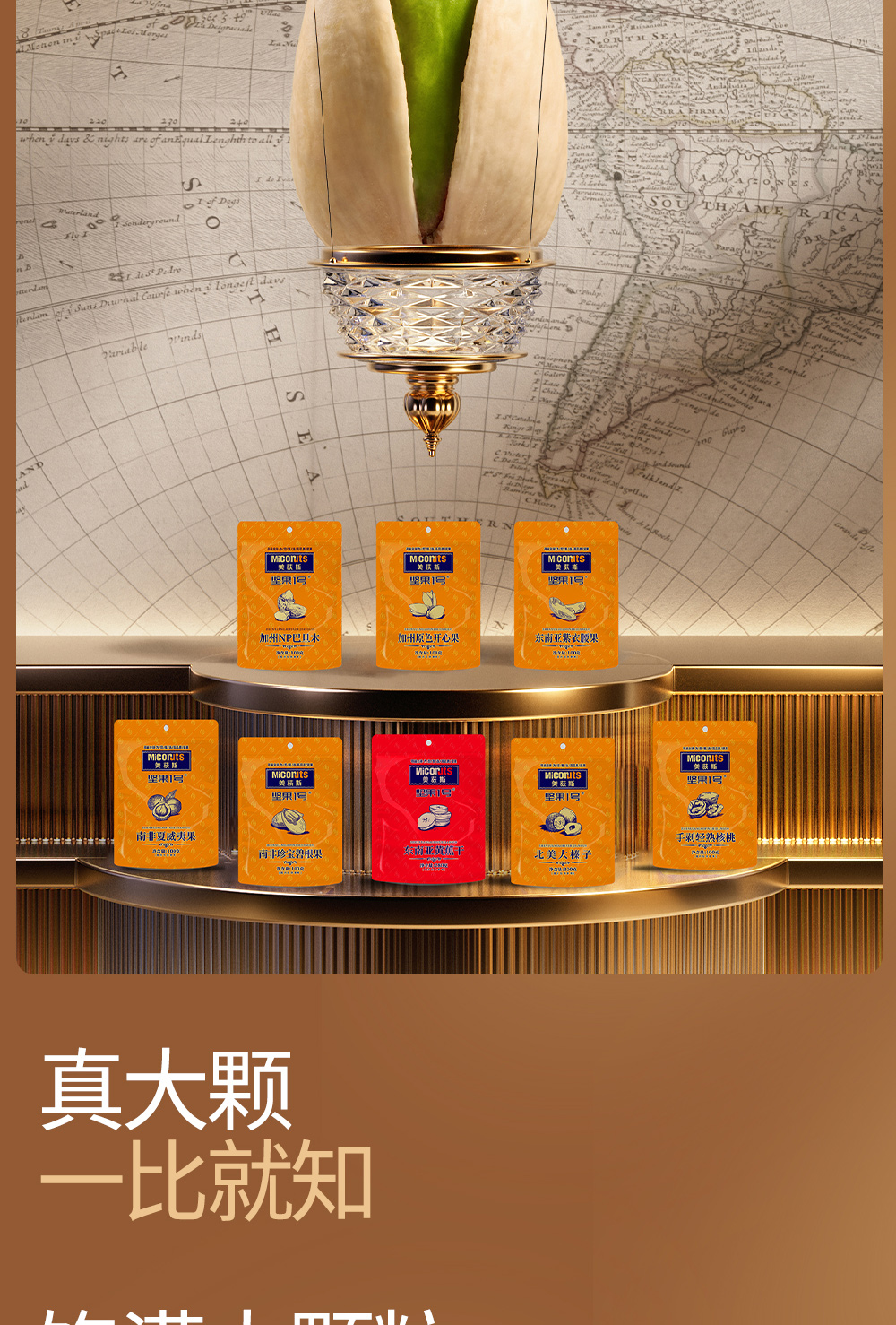 寻秦御礼_10.jpg