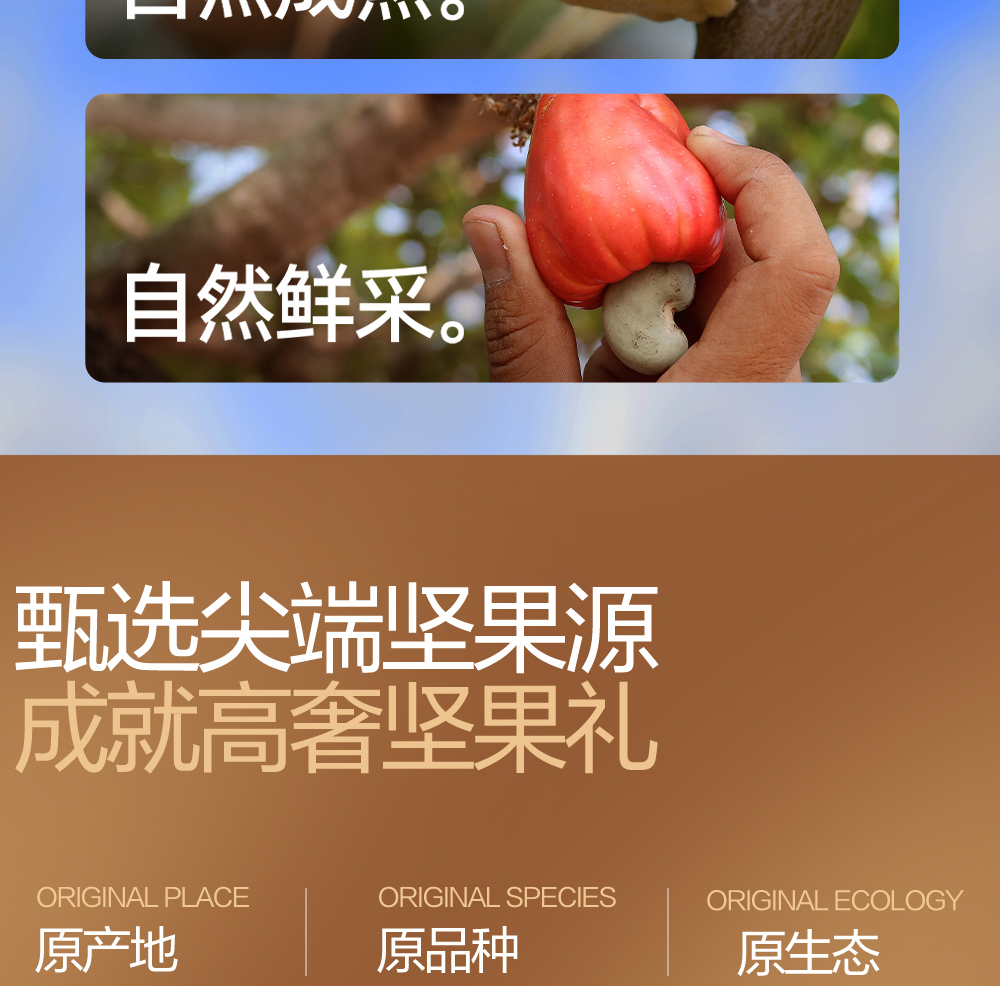 坚果1号悦果_09.jpg