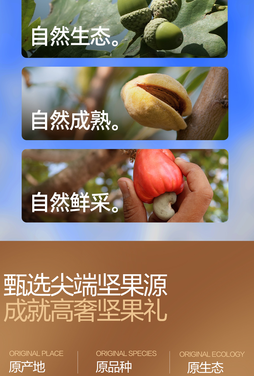 寻秦御礼_06.jpg